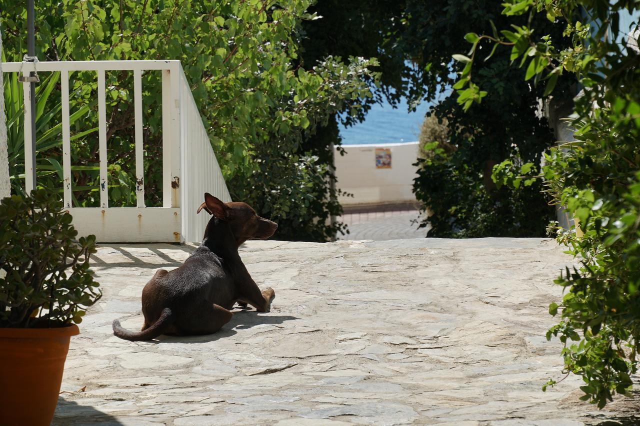 Galini Mare Hotel Agia Galini Exterior foto